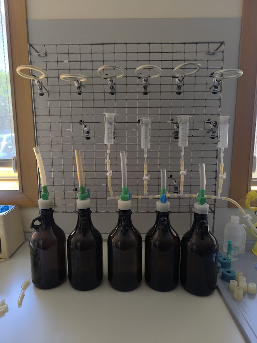 Laboratory filtration setup