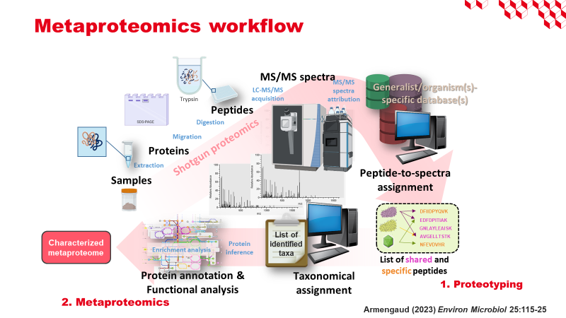 Metaproteomics workflow from samples to taxonomic and functional analysis