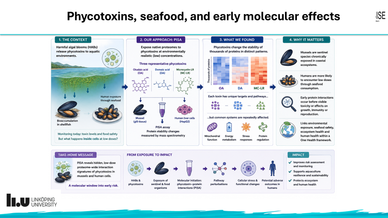 Scientific overview of HALOBISE phycotoxin research